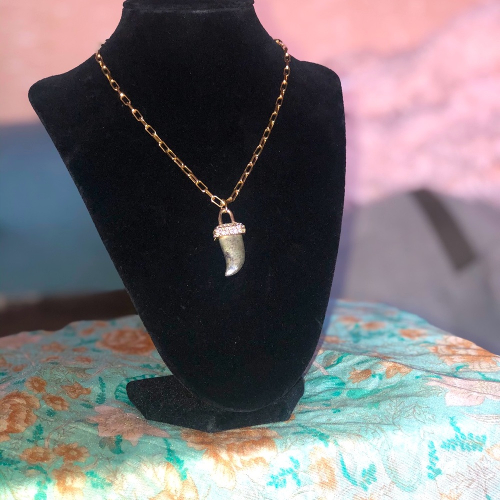 🌹Hematite horn necklace